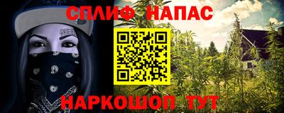 прущие грибы Коммунар