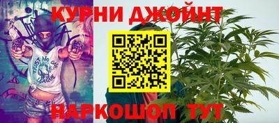 сатива Конаково