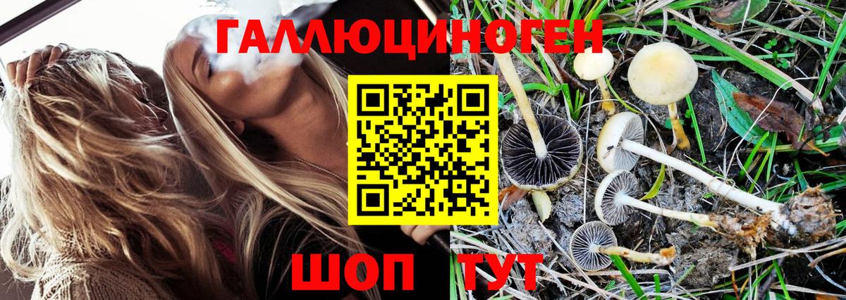 Коркино  Псилоцибиновые грибы ЛСД  Псилоцибиновые грибы MAGIC MUSHROOMS  Вход с VPN 