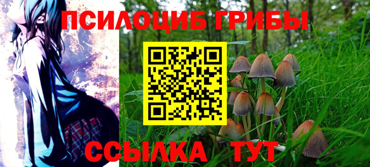 Псилоцибиновые грибы прущие грибы Коркино